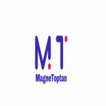 Celil Meriç - Magne Toptan ait resim